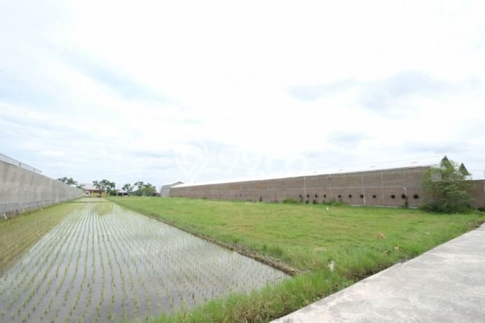 Lahan untuk Dijual di Gatak Sukoharjo Luas 5515m2 Lahan untuk Dijual di Gatak Sukoharjo Luas 5515m2