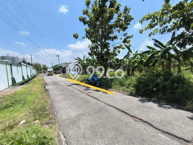 Tanah Komersial di Nogosari, Luas 12475m2m², Akses Mudah Tanah Komersial di Nogosari, Luas 12475m2m², Akses Mudah