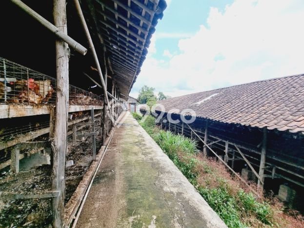Unit Komersial Strategis di Polokarto, Sukoharjo Potensi Bisnis Besar Unit Komersial Strategis di Polokarto, Sukoharjo Potensi Bisnis Besar
