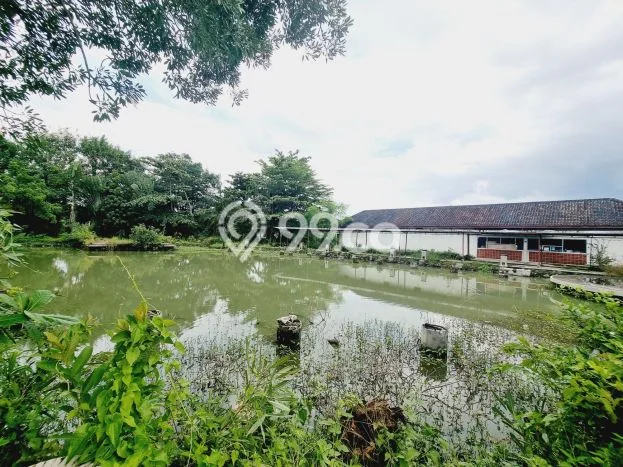 Lahan untuk Dijual Lokasi Banyudono, Boyolali Luas 13400m2 SHM Lahan untuk Dijual Lokasi Banyudono, Boyolali Luas 13400m2 SHM