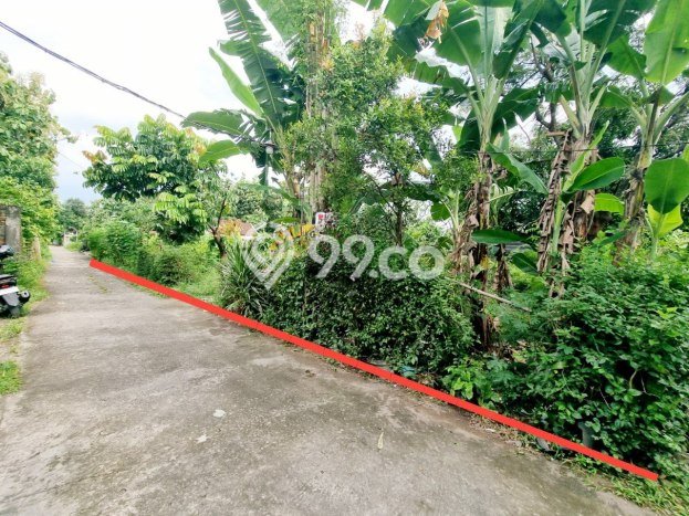 Tanah Dijual Lokasi Colomadu, Karanganyar Luas 525m2 Legalitas Aman Tanah Dijual Lokasi Colomadu, Karanganyar Luas 525m2 Legalitas Aman