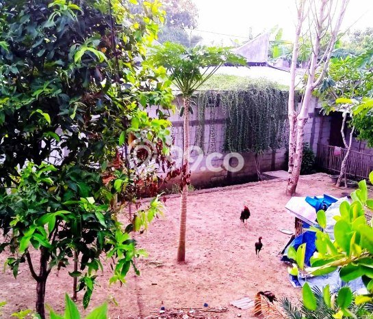 Dijual Komersial di Ngawen Gunung Kidul LT 1075m2 / LB 250m2 Dijual Komersial di Ngawen Gunung Kidul LT 1075m2 / LB 250m2