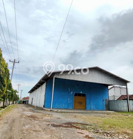 Area Ramai! Gudang Dijual di Demak untuk Bisnis Luas Bangunan 2900m2 Area Ramai! Gudang Dijual di Demak untuk Bisnis Luas Bangunan 2900m2