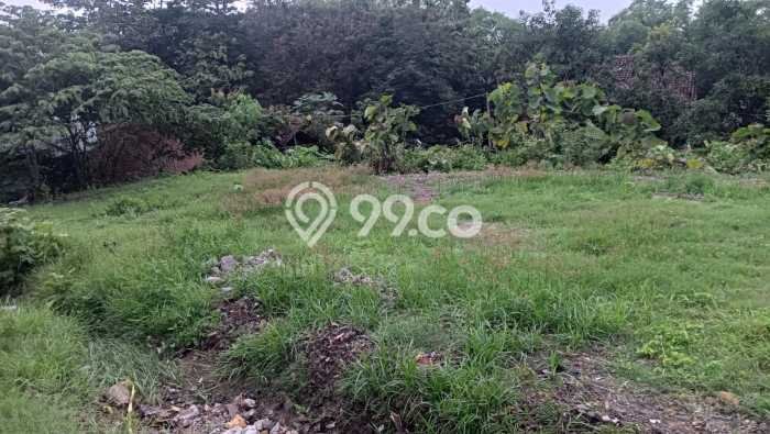 Tanah untuk Dijual di Gondangrejo Karanganyar Luas 1590m2 Tanah untuk Dijual di Gondangrejo Karanganyar Luas 1590m2