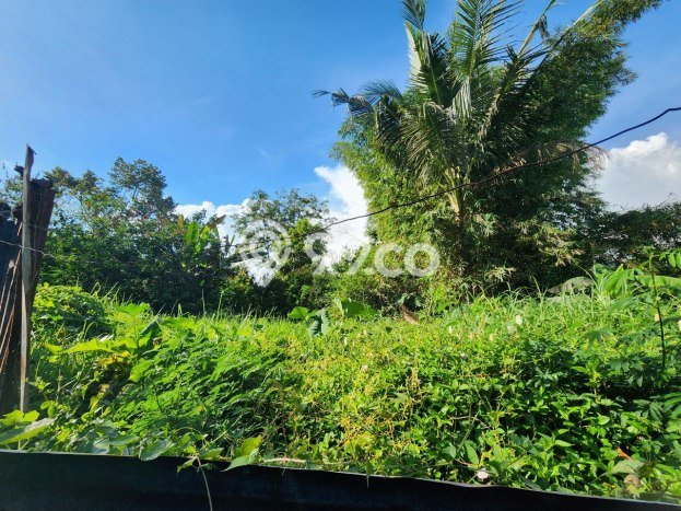 Tanah Kosong Dijual di Karanganyar dengan Area 4750m2 Tanah Kosong Dijual di Karanganyar dengan Area 4750m2