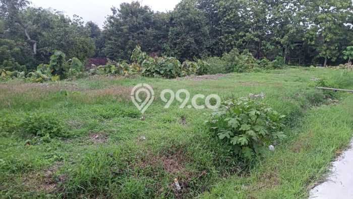 Tanah untuk Dijual di Gondangrejo Karanganyar Luas 1590m2 Tanah untuk Dijual di Gondangrejo Karanganyar Luas 1590m2