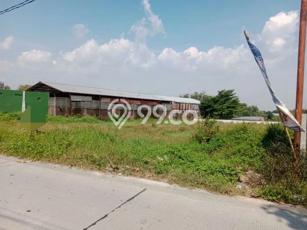 Kavling Tanah Dijual di Gondangrejo Karanganyar Spesifikasi 2016m2 Kavling Tanah Dijual di Gondangrejo Karanganyar Spesifikasi 2016m2