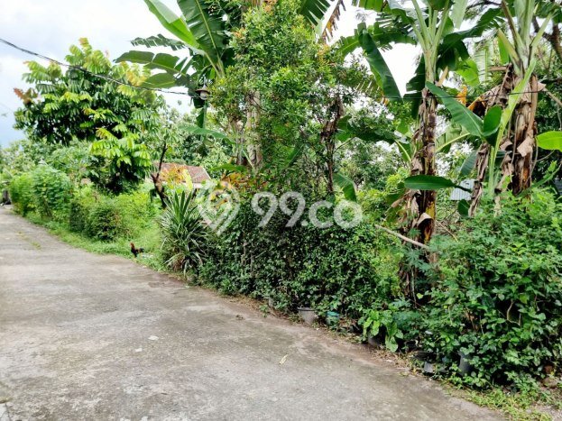 Tanah Dijual Lokasi Colomadu, Karanganyar Luas 525m2 Legalitas Aman Tanah Dijual Lokasi Colomadu, Karanganyar Luas 525m2 Legalitas Aman