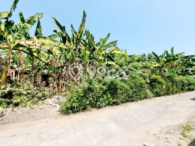 Kavling Tanah di Colomadu Dijual Luas 323m2 Legalitas SHM Kavling Tanah di Colomadu Dijual Luas 323m2 Legalitas SHM