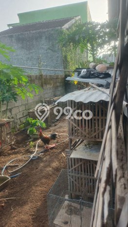 Rumah Minimalis Favorit Dijual Area Tasikmadu LT 212m2 Rumah Minimalis Favorit Dijual Area Tasikmadu LT 212m2