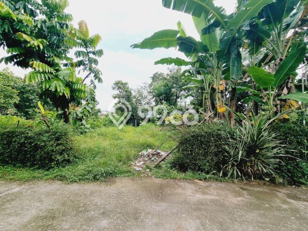 Tanah Dijual Lokasi Colomadu, Karanganyar Luas 525m2 Legalitas Aman Tanah Dijual Lokasi Colomadu, Karanganyar Luas 525m2 Legalitas Aman