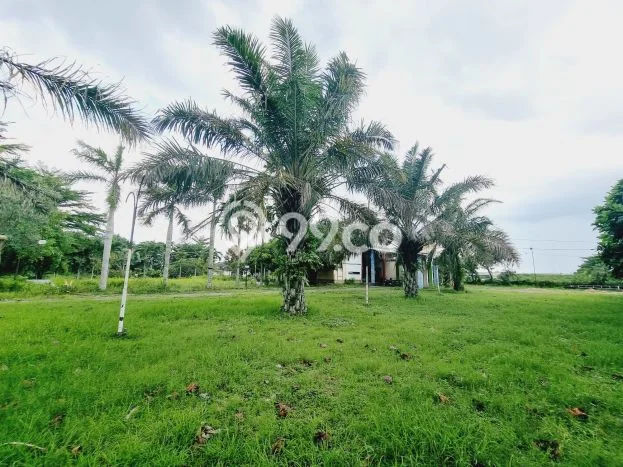 Lahan untuk Dijual Lokasi Banyudono, Boyolali Luas 13400m2 SHM Lahan untuk Dijual Lokasi Banyudono, Boyolali Luas 13400m2 SHM