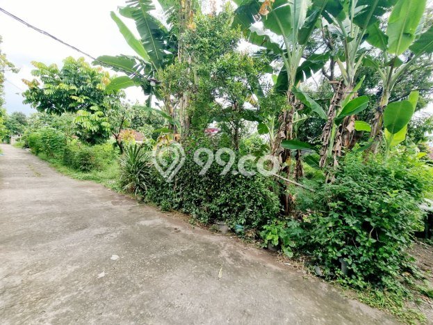 Tanah Dijual Lokasi Colomadu, Karanganyar Luas 525m2 Legalitas Aman Tanah Dijual Lokasi Colomadu, Karanganyar Luas 525m2 Legalitas Aman