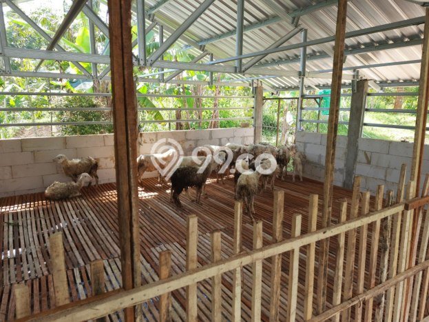 Dijual! Vila di Jenawi, Luas 3900m2m², Lokasi Premium Dijual! Vila di Jenawi, Luas 3900m2m², Lokasi Premium