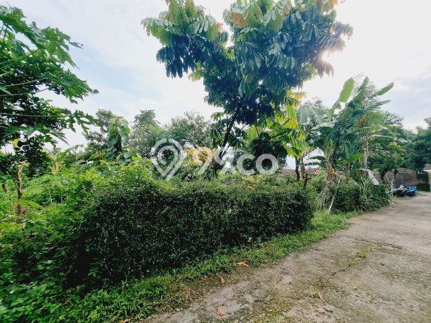 Tanah Dijual Lokasi Colomadu, Karanganyar Luas 525m2 Legalitas Aman Tanah Dijual Lokasi Colomadu, Karanganyar Luas 525m2 Legalitas Aman
