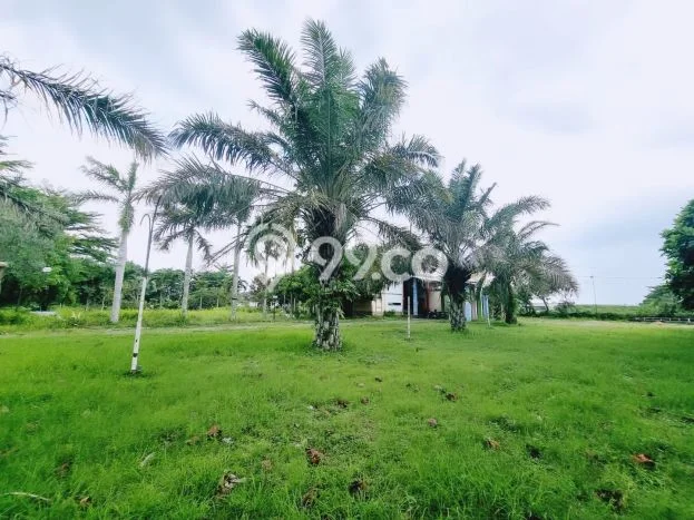 Lahan untuk Dijual Lokasi Banyudono, Boyolali Luas 13400m2 SHM Lahan untuk Dijual Lokasi Banyudono, Boyolali Luas 13400m2 SHM