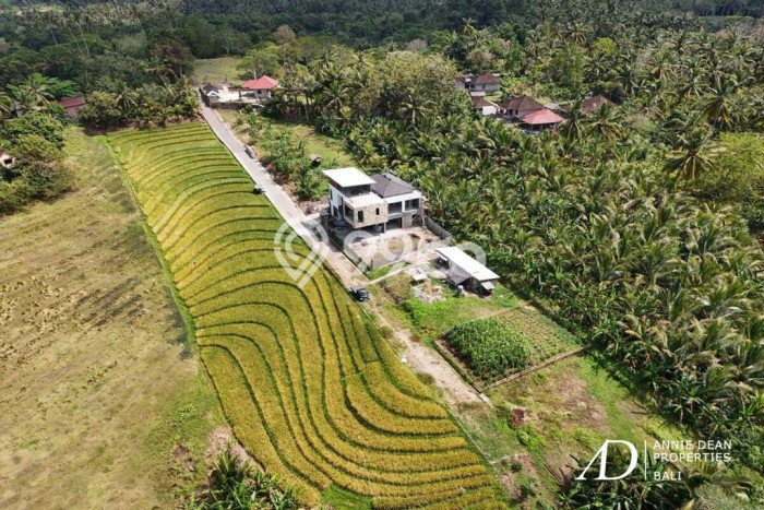 Tanah Investasi Dijual di Badung Punya Luas 175m2 Tanah Investasi Dijual di Badung Punya Luas 175m2