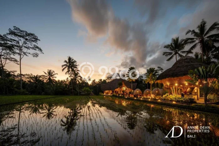 Hotel di Ubud, Luas 1950m2m², Area Bisnis, Jalan Utama Hotel di Ubud, Luas 1950m2m², Area Bisnis, Jalan Utama