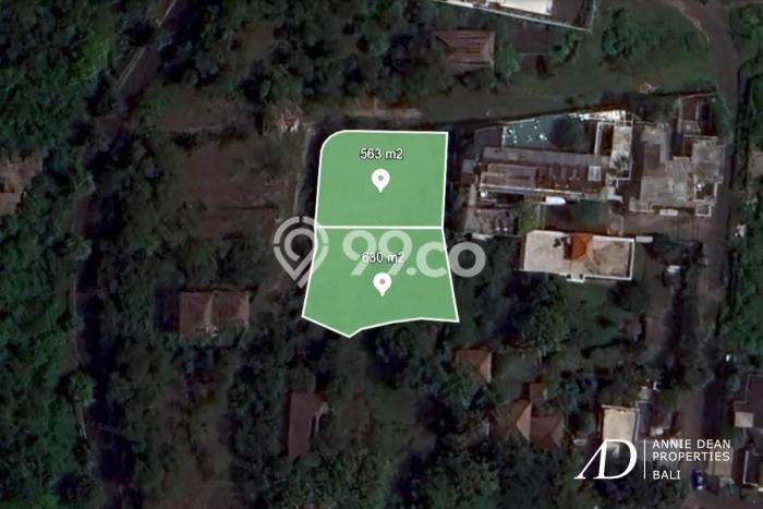 Tanah Kavling Dijual di Badung dengan Spesifikasi 1193m2 Tanah Kavling Dijual di Badung dengan Spesifikasi 1193m2