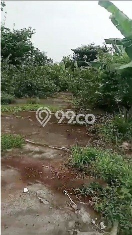 Kavling Tanah di Cibinong Dijual Luas 1000m2 Legalitas SHM Kavling Tanah di Cibinong Dijual Luas 1000m2 Legalitas SHM