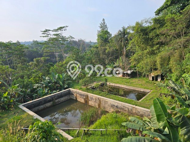 Komersial Dijual di Megamendung LT 5000m2, LB 1000m2 Solusi Investasi Cerdas Komersial Dijual di Megamendung LT 5000m2, LB 1000m2 Solusi Investasi Cerdas