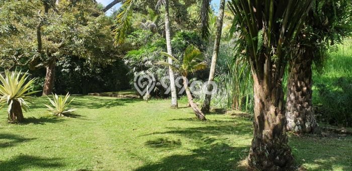 Lahan Kosong Dijual di Bogor dengan Area 22000m2 Lahan Kosong Dijual di Bogor dengan Area 22000m2