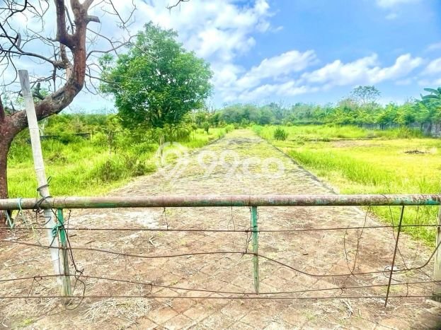 Tanah Investasi Dijual di Badung Punya Luas 553m2 Tanah Investasi Dijual di Badung Punya Luas 553m2