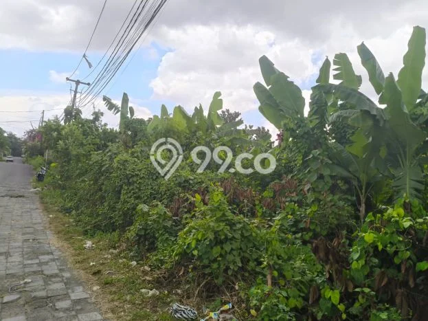 Tanah Strategis di Denpasar Barat, Luas 1430m2m², Disewakan Tanah Strategis di Denpasar Barat, Luas 1430m2m², Disewakan