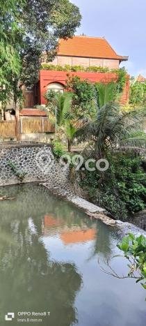 Disewakan Tanah di Ubud Luas 978m2 SHM Disewakan Tanah di Ubud Luas 978m2 SHM
