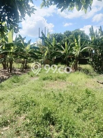Tanah Kosong Dijual di Badung dengan Area 1276m2 Tanah Kosong Dijual di Badung dengan Area 1276m2