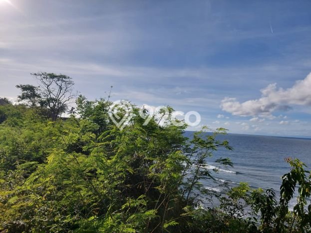 Lahan Dijual Lokasi Strategis di Badung dengan Luas 2000m2 Lahan Dijual Lokasi Strategis di Badung dengan Luas 2000m2