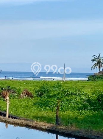 Tanah Kavling Dijual di Gianyar dengan Spesifikasi 2375m2 Tanah Kavling Dijual di Gianyar dengan Spesifikasi 2375m2