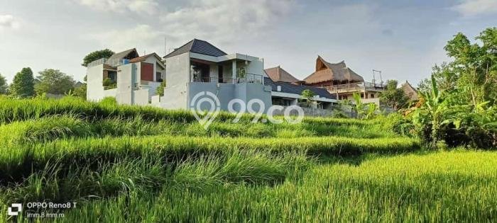 Disewakan Tanah di Ubud Luas 978m2 SHM Disewakan Tanah di Ubud Luas 978m2 SHM
