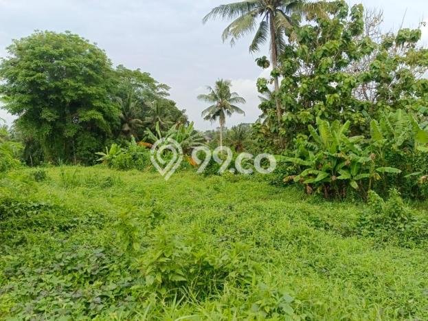 Tanah Potensial di Ubud, Luas 4500m2m², Akses Mudah Tanah Potensial di Ubud, Luas 4500m2m², Akses Mudah