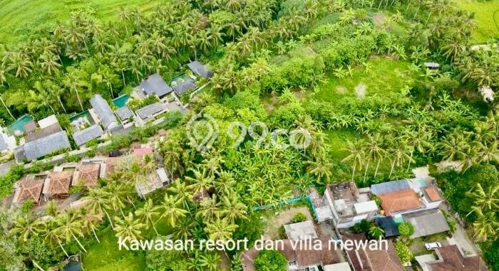 Tanah di Ubud, Gianyar Luas 8924m2 Dijual Segera Tanah di Ubud, Gianyar Luas 8924m2 Dijual Segera