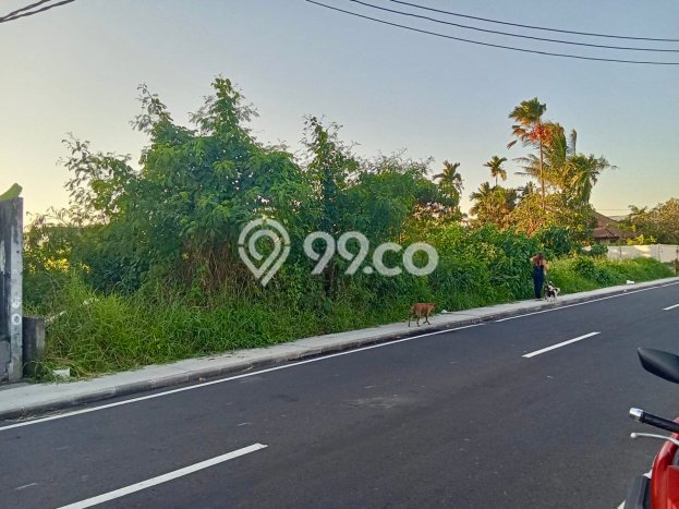 Tanah Kavling Dijual di Badung dengan Spesifikasi 825m2 Tanah Kavling Dijual di Badung dengan Spesifikasi 825m2