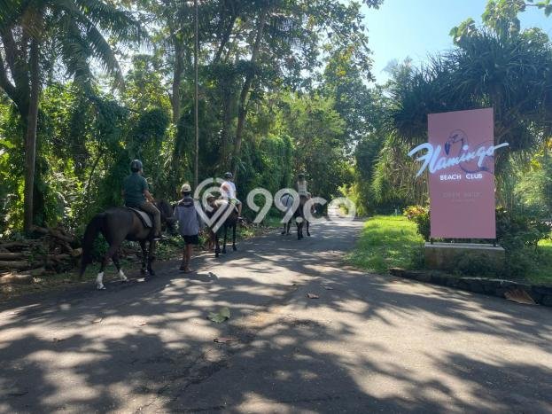 Lahan Dijual Lokasi Strategis di Gianyar dengan Luas 13290m2 Lahan Dijual Lokasi Strategis di Gianyar dengan Luas 13290m2