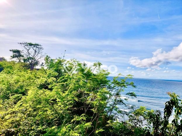 Lahan Dijual Lokasi Strategis di Badung dengan Luas 2000m2 Lahan Dijual Lokasi Strategis di Badung dengan Luas 2000m2
