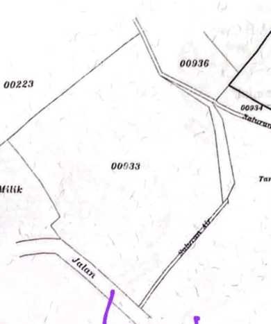 Tanah Kavling Dijual di Bedugul, Tabanan dengan Luas Tanah 12000m2 Tanah Kavling Dijual di Bedugul, Tabanan dengan Luas Tanah 12000m2