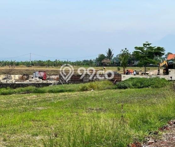 LOKASI STRATEGIS! Tanah Kawasan Kerambitan, Luas 6000m2m², Lokasi Potensial, Cocok untuk Investasi LOKASI STRATEGIS! Tanah Kawasan Kerambitan, Luas 6000m2m², Lokasi Potensial, Cocok untuk Investasi