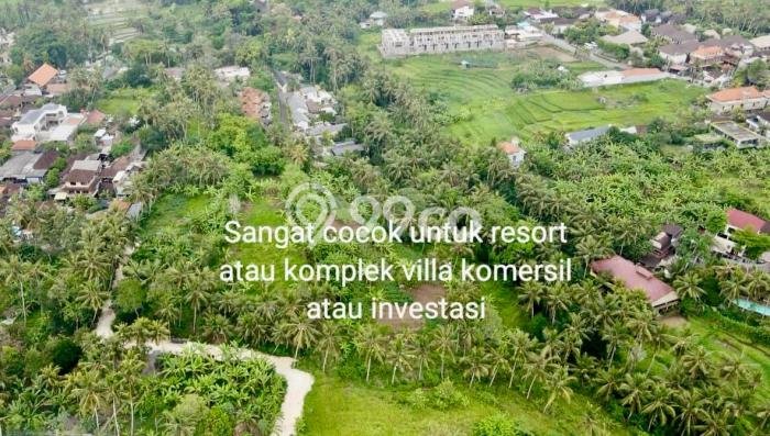 Tanah di Ubud, Gianyar Luas 8924m2 Dijual Segera Tanah di Ubud, Gianyar Luas 8924m2 Dijual Segera
