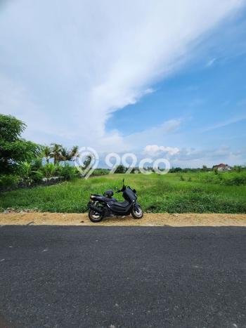 Tanah Lokasi Premium Kawasan Kerambitan, Luas 3550m2m², Akses ke Pusat Kota Tanah Lokasi Premium Kawasan Kerambitan, Luas 3550m2m², Akses ke Pusat Kota