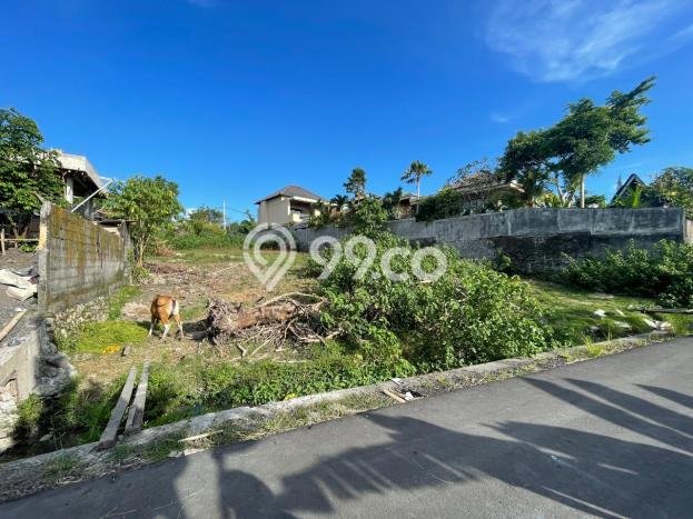 Jual Tanah Area Prospektif Kawasan , Luas 1265m2m², Akses Badung, Badung Jual Tanah Area Prospektif Kawasan , Luas 1265m2m², Akses Badung, Badung