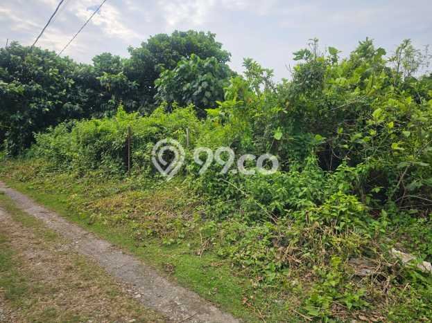 Dijual Tanah Lokasi Seminyak, Badung Seluas 214m2 Dijual Tanah Lokasi Seminyak, Badung Seluas 214m2