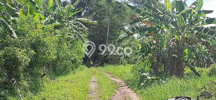 Tanah Area Berkembang Kawasan Ubud, Luas 35000m2m², Akses ke Fasilitas Umum, Akses Ubud, Gianyar, Gianyar Tanah Area Berkembang Kawasan Ubud, Luas 35000m2m², Akses ke Fasilitas Umum, Akses Ubud, Gianyar, Gianyar