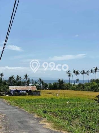 Kavling Tanah untuk Dijual di Ketewel, Gianyar, Luas 197m2 Kavling Tanah untuk Dijual di Ketewel, Gianyar, Luas 197m2
