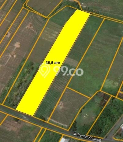 Tanah Lokasi Premium Kawasan Kerambitan, Luas 3550m2m², Akses ke Pusat Kota Tanah Lokasi Premium Kawasan Kerambitan, Luas 3550m2m², Akses ke Pusat Kota