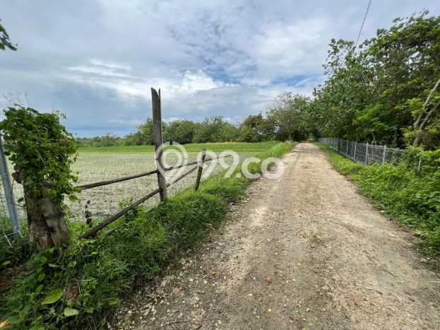Jarang Ada! Tanah di Kediri Punya Luas 3310m2 SHM Jarang Ada! Tanah di Kediri Punya Luas 3310m2 SHM
