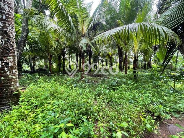 Lahan Dijual Lokasi Strategis di Gianyar dengan Luas 13290m2 Lahan Dijual Lokasi Strategis di Gianyar dengan Luas 13290m2