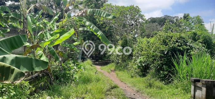Tanah Area Berkembang Kawasan Ubud, Luas 35000m2m², Akses ke Fasilitas Umum, Akses Ubud, Gianyar, Gianyar Tanah Area Berkembang Kawasan Ubud, Luas 35000m2m², Akses ke Fasilitas Umum, Akses Ubud, Gianyar, Gianyar